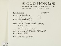 登錄號:F0024558藏品圖，第2張