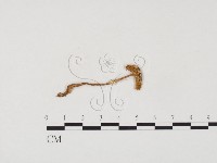 登錄號:F0024559藏品圖，第1張