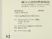 登錄號:F0024560藏品圖，第2張