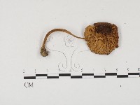 登錄號:F0024560藏品圖，第1張