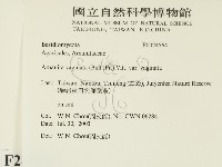 登錄號:F0024564藏品圖，第2張