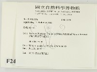 登錄號:F0024565藏品圖，第2張