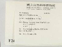 登錄號:F0024570藏品圖，第2張