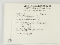 登錄號:F0024571藏品圖，第2張