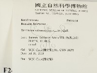 登錄號:F0024574藏品圖，第2張