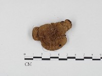 登錄號:F0024575藏品圖，第1張