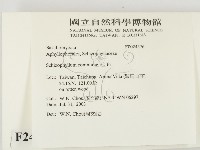 裂褶菌藏品圖，第2張