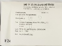 革菌屬藏品圖，第2張