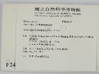 登錄號:F0024578藏品圖，第2張