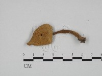 登錄號:F0024579藏品圖，第1張