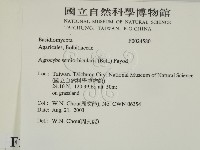 登錄號:F0024580藏品圖，第2張