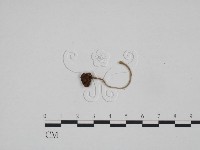 登錄號:F0024580藏品圖，第3張