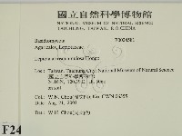 登錄號:F0024581藏品圖，第2張