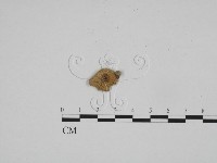登錄號:F0024581藏品圖，第3張