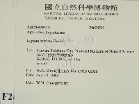 登錄號:F0024582藏品圖，第2張