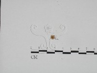 登錄號:F0024582藏品圖，第1張