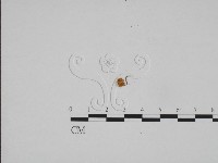 登錄號:F0024582藏品圖，第3張