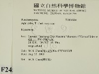 小菇屬藏品圖，第2張