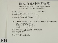 登錄號:F0024585藏品圖，第2張