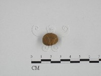 登錄號:F0024585藏品圖，第1張