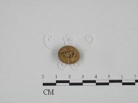 登錄號:F0024585藏品圖，第3張