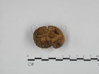 登錄號:F0024586藏品圖，第1張