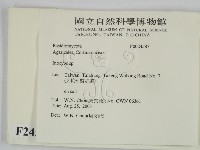 登錄號:F0024587藏品圖，第2張