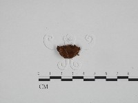 登錄號:F0024587藏品圖，第3張