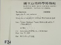 登錄號:F0024588藏品圖，第2張