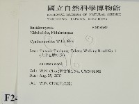 登錄號:F0024589藏品圖，第2張