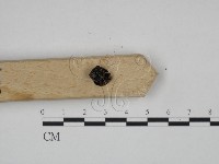 登錄號:F0024589藏品圖，第3張