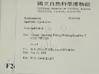 登錄號:F0024590藏品圖，第2張