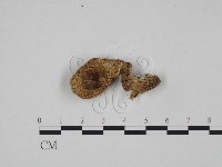 登錄號:F0024590藏品圖，第3張