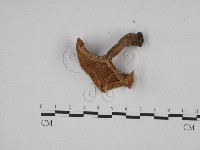 登錄號:F0024592藏品圖，第3張