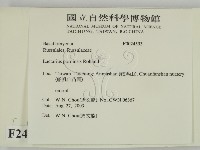 登錄號:F0024593藏品圖，第2張