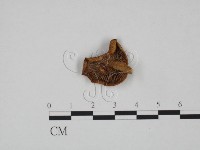 登錄號:F0024593藏品圖，第1張