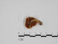 登錄號:F0024595藏品圖，第3張