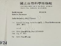 登錄號:F0024596藏品圖，第2張