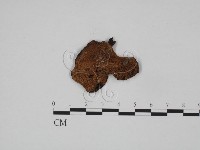 登錄號:F0024596藏品圖，第1張
