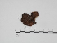 登錄號:F0024596藏品圖，第3張