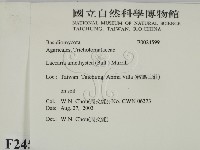 登錄號:F0024599藏品圖，第2張