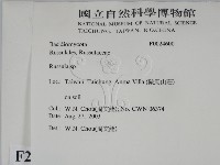 紅菇屬藏品圖，第2張