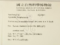 登錄號:F0024601藏品圖，第2張