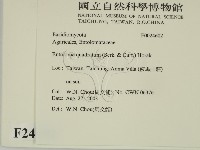 登錄號:F0024602藏品圖，第2張