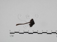 登錄號:F0024602藏品圖，第1張