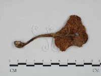 登錄號:F0024604藏品圖，第1張