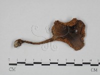 登錄號:F0024604藏品圖，第3張