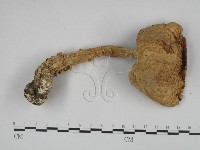 登錄號:F0024605藏品圖，第1張