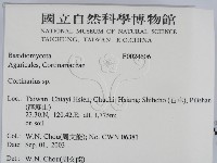 登錄號:F0024606藏品圖，第2張