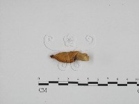 登錄號:F0024607藏品圖，第3張